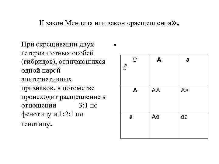 . II закон Менделя или закон «расщепления» При скрещивании двух гетерозиготных особей (гибридов), отличающихся
