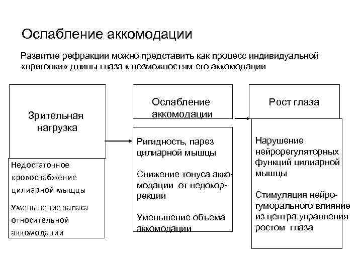 Ослабление аккомодации Развитие рефракции можно представить как процесс индивидуальной «пригонки» длины глаза к возможностям