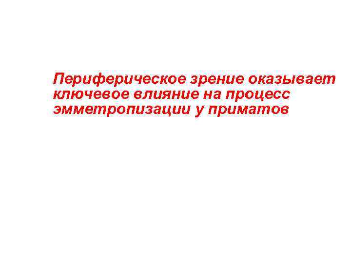 Периферическое зрение оказывает ключевое влияние на процесс эмметропизации у приматов 