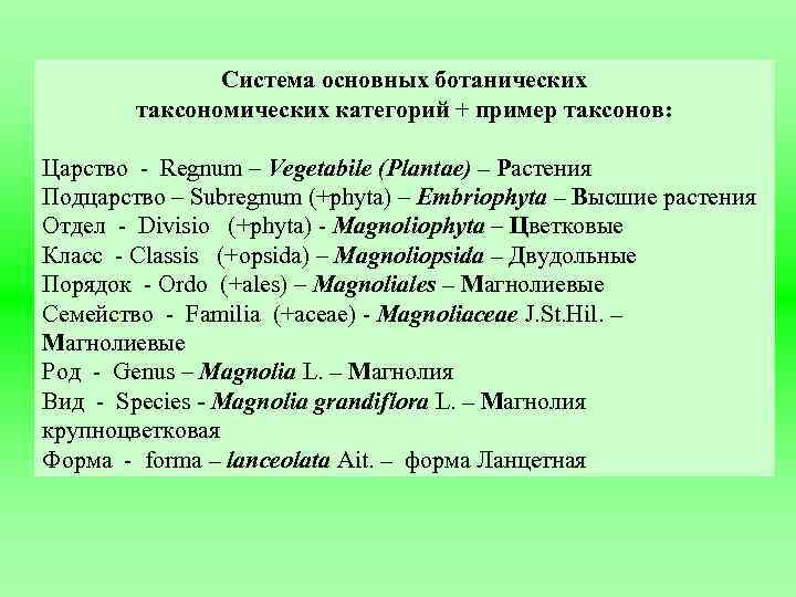 Система основных ботанических таксономических категорий + пример таксонов: Царство - Regnum – Vegetabile (Plantae)