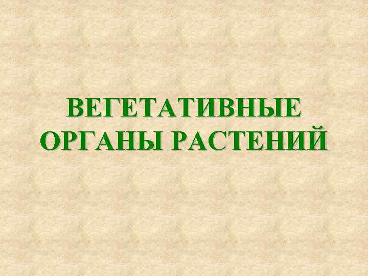 ВЕГЕТАТИВНЫЕ ОРГАНЫ РАСТЕНИЙ 