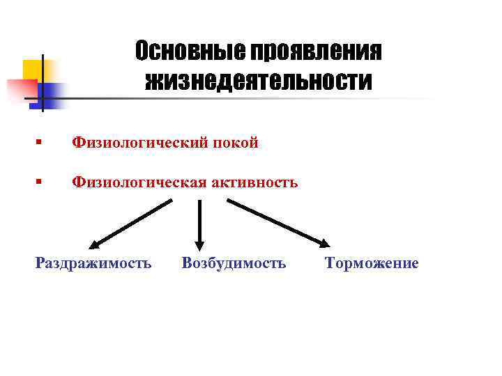 Физиологическая активность. Основные проявления жизнедеятельности. Основные проявления жизнедеятельности физиология. Физиологическая активность это. Основные проявления процесса жизнедеятельности человека.