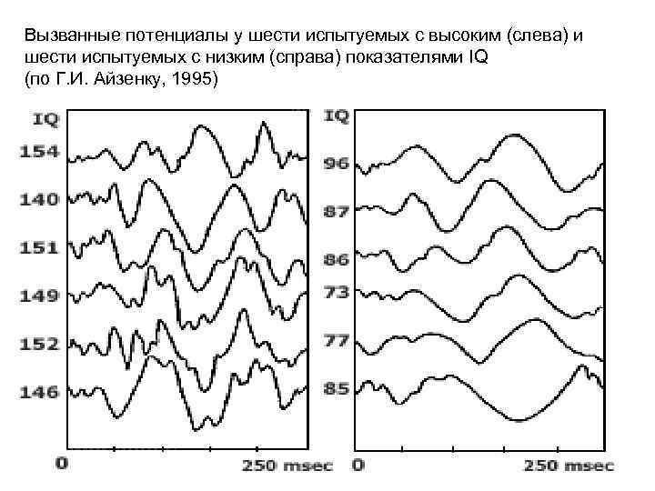 Вызванные потенциалы у шести испытуемых с высоким (слева) и шести испытуемых с низким (справа)