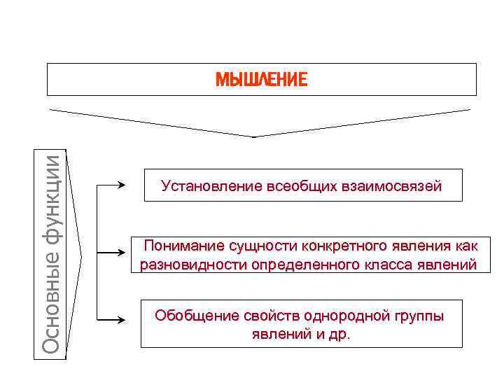 Функции мышления. Функции мышления схема. Функции мышления в психологии. Функции мышления в психологии кратко. Функции процесса мышления в психологии.