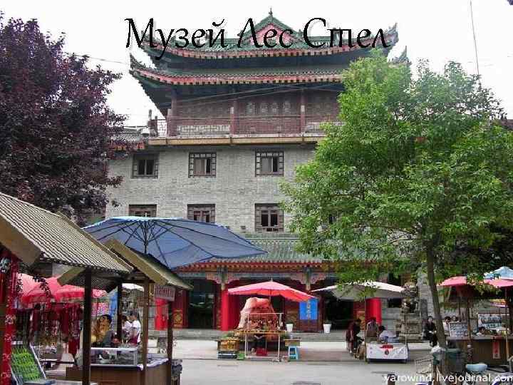 Музей Лес Стел 