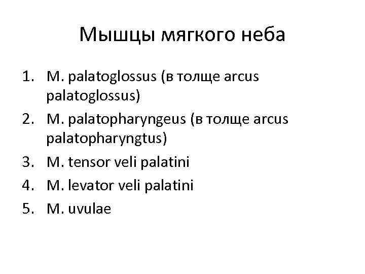 Мышцы мягкого неба 1. M. palatoglossus (в толще arcus palatoglossus) 2. M. palatopharyngeus (в
