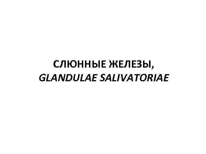 СЛЮННЫЕ ЖЕЛЕЗЫ, GLANDULAE SALIVATORIAE 