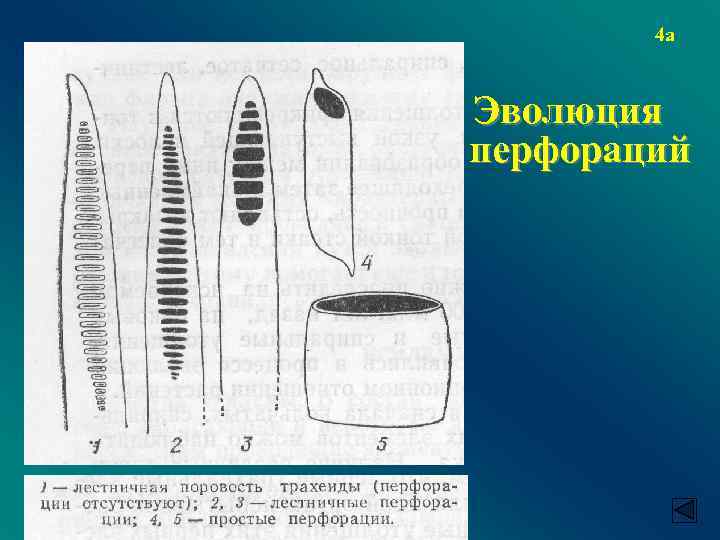 Проводящие свойства