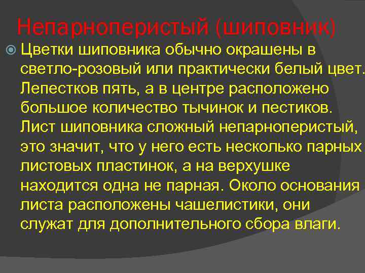 Непарноперистый (шиповник) Цветки шиповника обычно окрашены в светло-розовый или практически белый цвет. Лепестков пять,