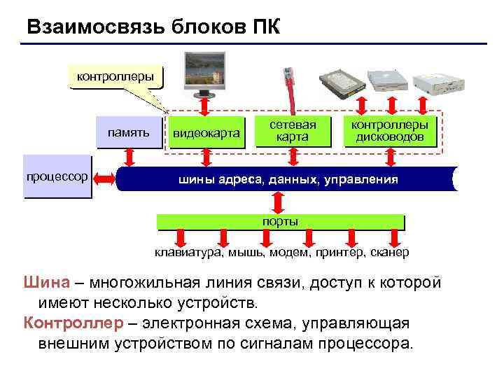 Взаимосвязь блоков ПК контроллеры память процессор видеокарта сетевая карта контроллеры дисководов шины адреса, данных,