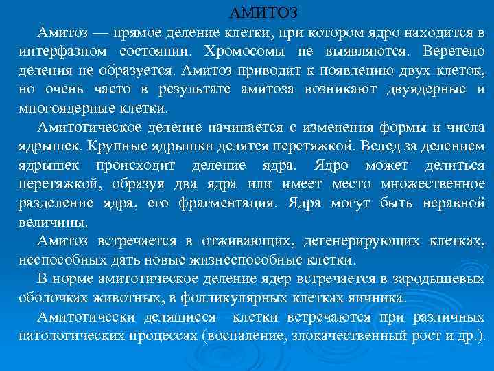АМИТОЗ Амитоз — прямое деление клетки, при котором ядро находится в интерфазном состоянии. Хромосомы