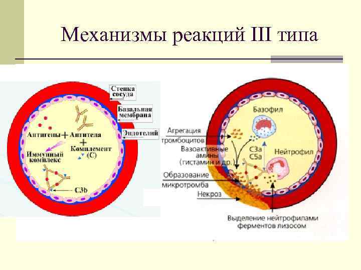 Механизмы реакций III типа 