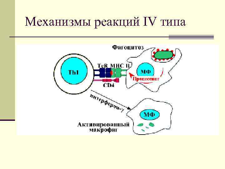 Механизмы реакций IV типа 