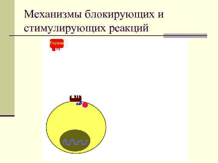 Механизмы блокирующих и стимулирующих реакций 