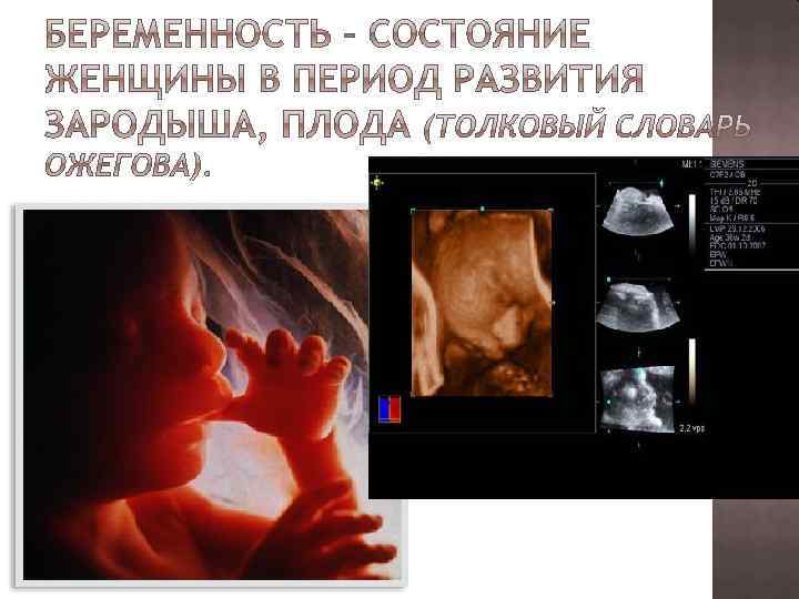 Физиологическая беременность и физиологические роды. Физиологическая беременность. Для физиологической беременности характерно. Физиологическая беременность название. Физиологическая беременность продолжается.