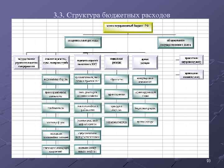 3. 3. Структура бюджетных расходов 93 