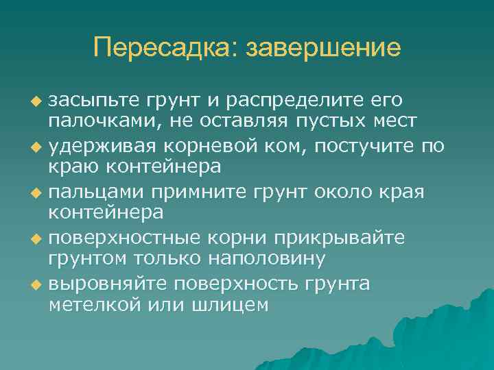 Пересадка: завершение засыпьте грунт и распределите его палочками, не оставляя пустых мест u удерживая