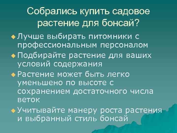 Собрались купить садовое растение для бонсай? u Лучше выбирать питомники с профессиональным персоналом u