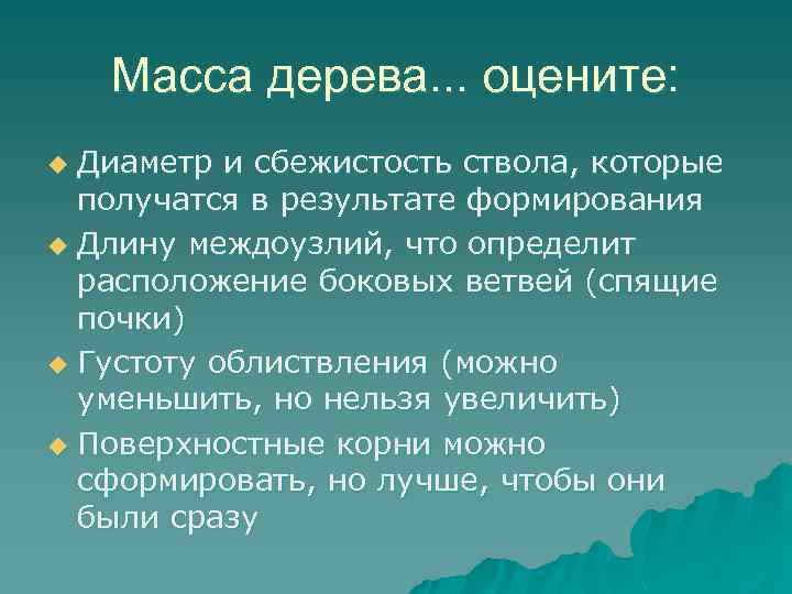Масса дерева. . . оцените: Диаметр и сбежистость ствола, которые получатся в результате формирования