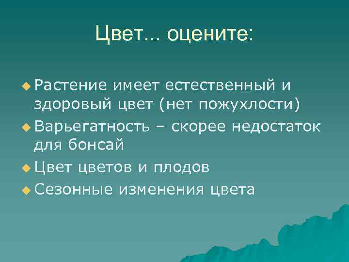 Цвет. . . оцените: u Растение имеет естественный и здоровый цвет (нет пожухлости) u