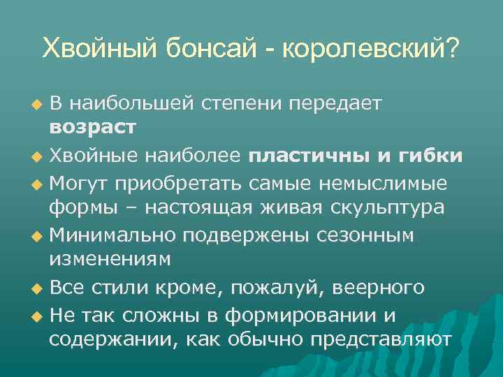 Хвойный бонсай - королевский? В наибольшей степени передает возраст Хвойные наиболее пластичны и гибки
