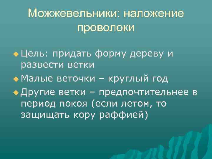 Можжевельники: наложение проволоки Цель: придать форму дереву и развести ветки Малые веточки – круглый