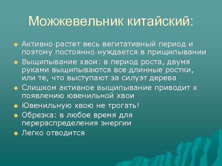 Можжевельник китайский: Активно растет весь вегитативный период и поэтому постоянно нуждается в прищипывании Выщипывание