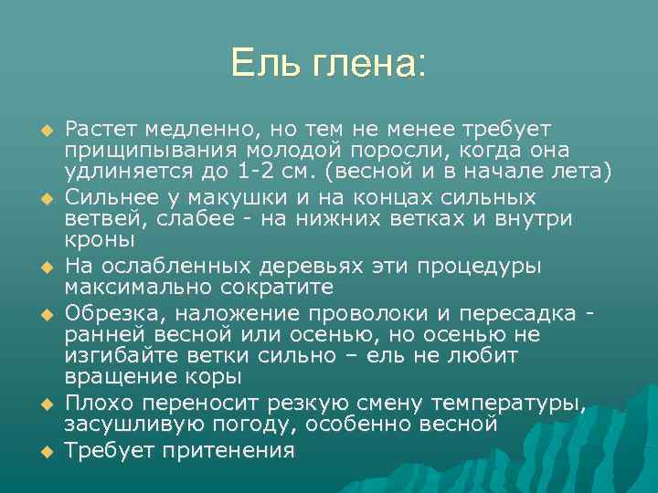 Ель глена: Растет медленно, но тем не менее требует прищипывания молодой поросли, когда она