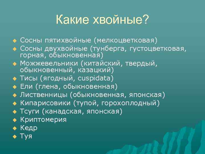 Какие хвойные? Сосны пятихвойные (мелкоцветковая) Сосны двухвойные (тунберга, густоцветковая, горная, обыкновенная) Можжевельники (китайский, твердый,