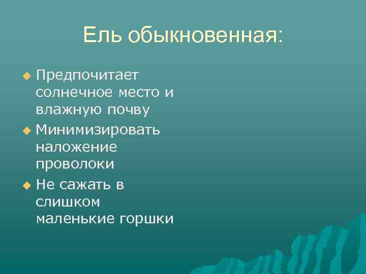 Ель обыкновенная: Предпочитает солнечное место и влажную почву Минимизировать наложение проволоки Не сажать в