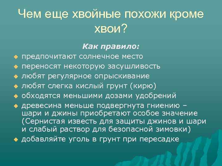 Чем еще хвойные похожи кроме хвои? Как правило: предпочитают солнечное место переносят некоторую засушливость