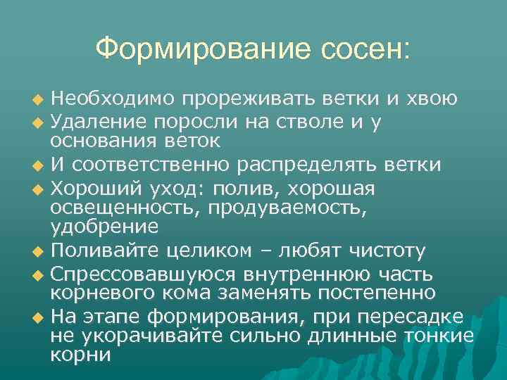 Формирование сосен: Необходимо прореживать ветки и хвою Удаление поросли на стволе и у основания
