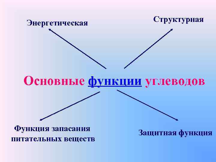 Энергетическая Структурная Основные функции углеводов Функция запасания питательных веществ Защитная функция 