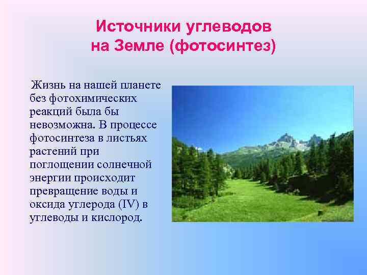 Источники углеводов на Земле (фотосинтез) Жизнь на нашей планете без фотохимических реакций была бы