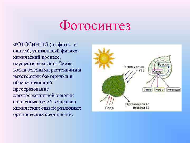 Фотосинтез ФОТОСИНТЕЗ (от фото. . . и синтез), уникальный физикохимический процесс, осуществляемый на Земле
