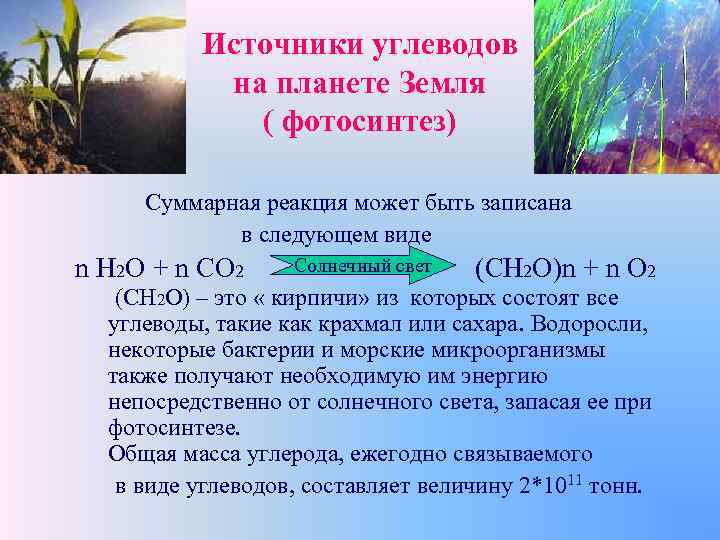 Источники углеводов на планете Земля ( фотосинтез) Суммарная реакция может быть записана в следующем