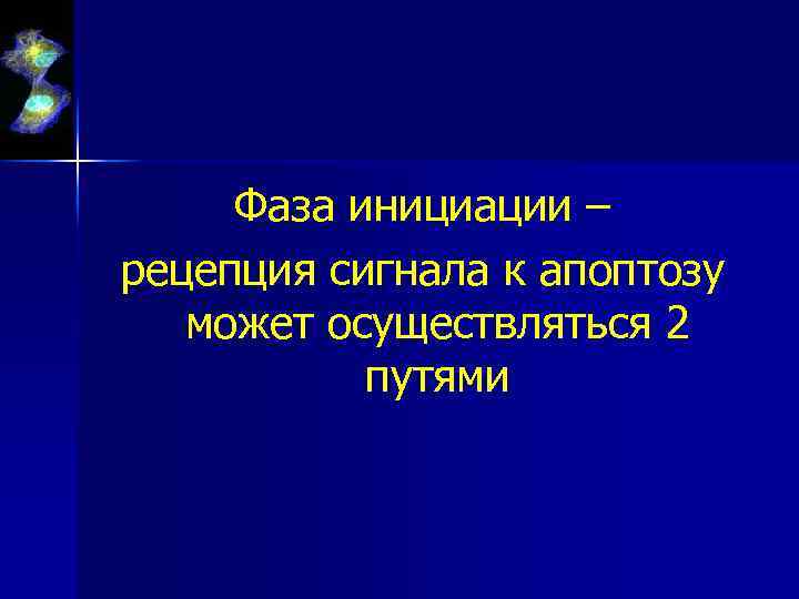 Фаза инициации – рецепция сигнала к апоптозу может осуществляться 2 путями 