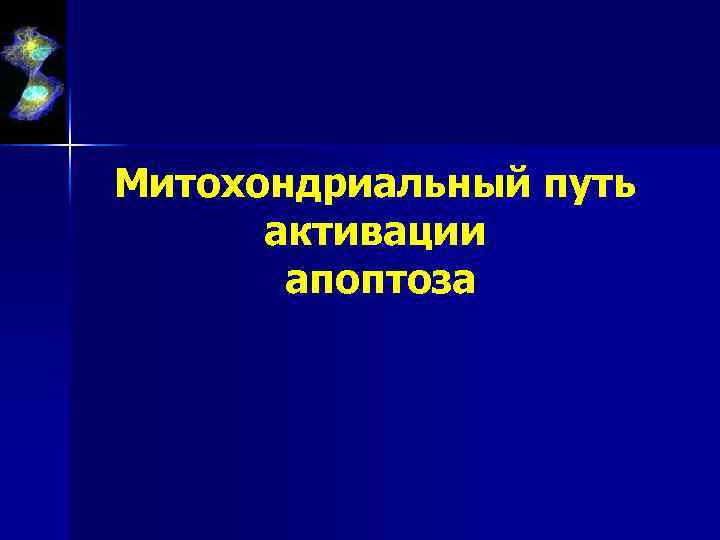 Митохондриальный путь активации апоптоза 