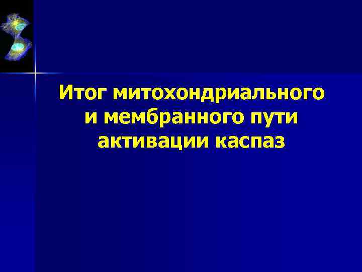 Итог митохондриального и мембранного пути активации каспаз 