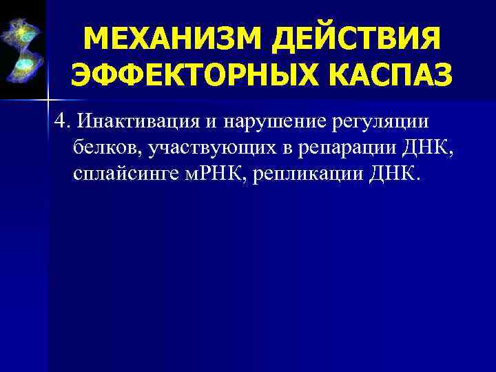 МЕХАНИЗМ ДЕЙСТВИЯ ЭФФЕКТОРНЫХ КАСПАЗ 4. Инактивация и нарушение регуляции белков, участвующих в репарации ДНК,