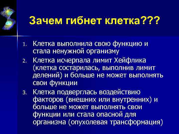 Зачем гибнет клетка? ? ? 1. 2. 3. Клетка выполнила свою функцию и стала