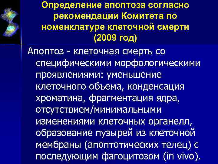 Определение апоптоза согласно рекомендации Комитета по номенклатуре клеточной смерти (2009 год) Апоптоз - клеточная