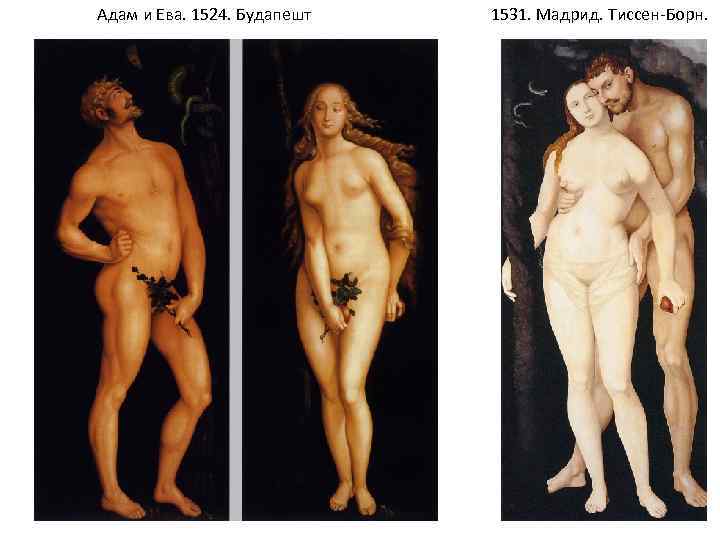 Адам и Ева. 1524. Будапешт 1531. Мадрид. Тиссен-Борн. 