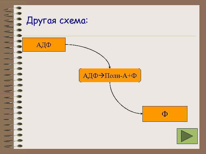 Другая схема: АДФ Поли-А+Ф Ф 