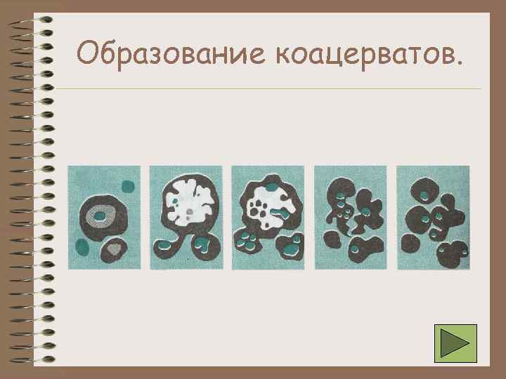 Коацерваты обладали свойствами живого потому что. Теория коацерватов Опарина. Образование коацерватов. Формирование коацерватов. Образование коацерватов в воде.