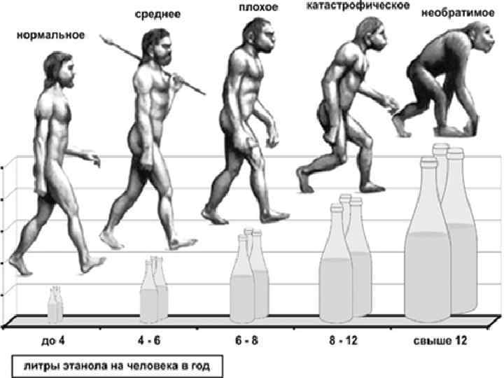 Нормальный литр. Антиэволюция. Эволюция человека алкоголь. Эволюция алкоголизации мира. Алкоголь из человека в обезьяну.