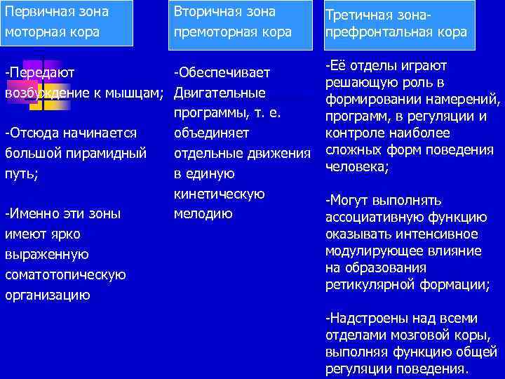 Первичная зона моторная кора Вторичная зона премоторная кора -Передают -Обеспечивает возбуждение к мышцам; Двигательные