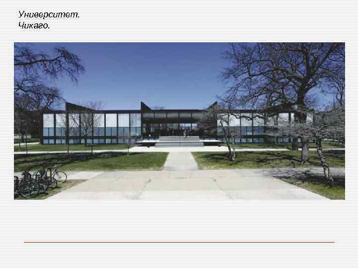 Университет. Чикаго. 