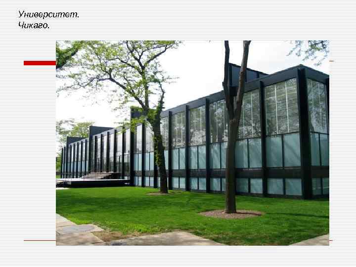 Университет. Чикаго. 