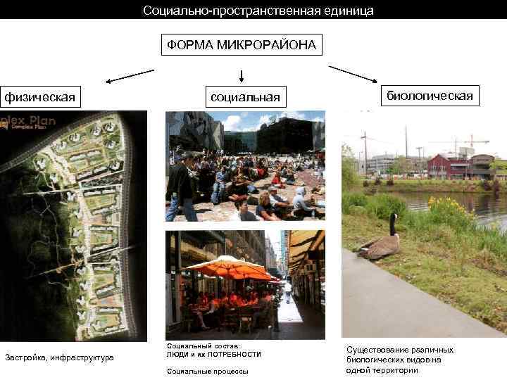 Социально пространственная единица ФОРМА МИКРОРАЙОНА физическая Застройка, инфраструктура социальная Социальный состав: ЛЮДИ и их